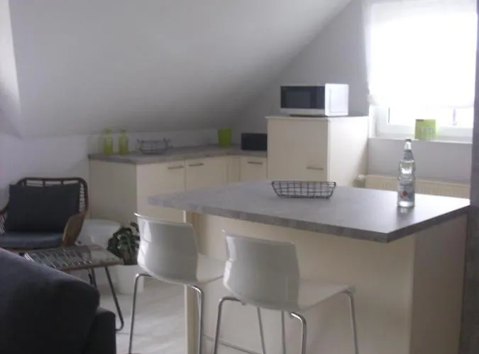 公寓 Haus Muehlenbach 梅谢尼希