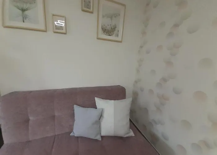 公寓 Haus Muehlenbach